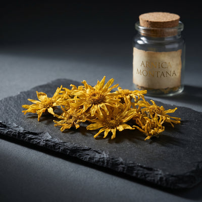 Arnica Infused Oil
